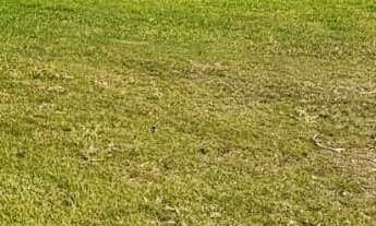 Imagem 4: Terreno de 1.000,00m² a Venda, Localizado no Residencial Saint Patrick!