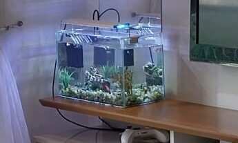 Imagem: Lindo Apartamento à Venda no Residencial