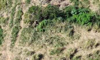 Imagem 5: Terreno de 4.100m² em Localização Estratégica - Ideal para Condomínio Residencial Multifam