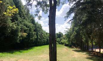 Imagem: O Terreno Perfeito para Sua Casa dos Sonhos