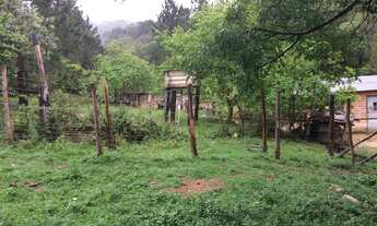 Imagem 3: Oportunidade: Sítio com Muito Verde e Água de Nascente