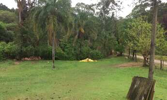 Imagem 4: Oportunidade: Sítio com Muito Verde e Água de Nascente