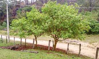 Imagem: Oportunidade Sítio com Muito Verde e Água