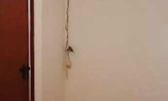 Imagem 7: Casa 3 dormitórios Campolim Sorocaba/Sp