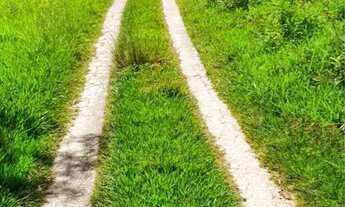 Imagem 4: Refúgio na Natureza com conforto e linda vista? Itapeva/SP