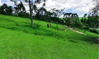 Imagem 5: Refúgio na Natureza com conforto e linda vista? Itapeva/SP