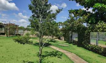 Imagem 3: Chácara Completa à Venda no Bairro do Cercado ? Lazer e Conforto em um Só Lugar