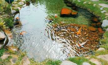 Imagem 5: Casa 5 suítes e com 1900m² Condomínio Tamporé 1- Sp