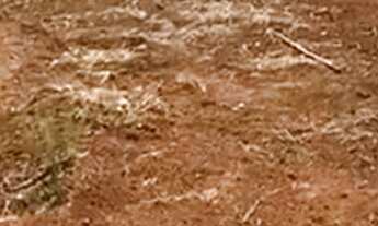 Imagem 4: Terreno 772m²- Bairro Eden -Sorocaba/SP