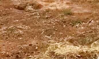 Imagem 5: Terreno 772m²- Bairro Eden -Sorocaba/SP