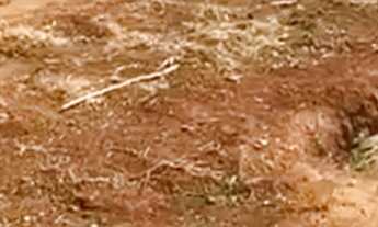 Imagem 6: Terreno 772m²- Bairro Eden -Sorocaba/SP