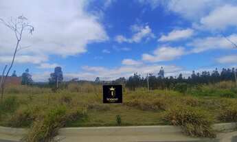 Imagem: Lote/Terreno à Venda,271 m² por R$ 271.000,00