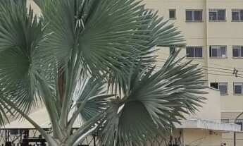 Imagem: Apartamento no Residencial Vale Verde Ipanema