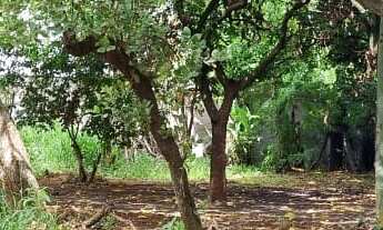 Imagem 2: Área no Éden com 4.000,00m2 ideal para Galpões e Projetos Comerciais! Ótima Localização!