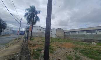 Imagem 5: Terreno Retangular de 1.300m² no Jardim São Paulo - Ideal para Construção