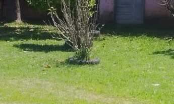 Imagem 6: Casa 3 Dormitórios condomínio Aquários Araçoiaba da Serra/SP