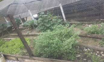 Imagem 6: Sitio à venda em Blumenau/ Indaial -SC, Passo Manso: 5 quartos, 1 sala, 2 banheiros, 38.82