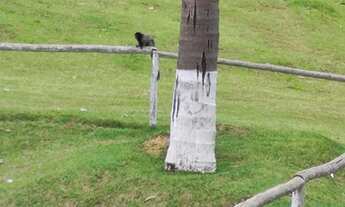 Imagem 7: Lote/Terreno à Venda, 970 m² - Condominio Village Araçoiaba/SP