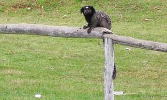 Imagem 6: Lote/Terreno à Venda, 970 m² - Condominio Village Araçoiaba/SP