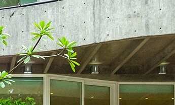 Imagem 6: Casa 4 dormitórios Cidade Jardim