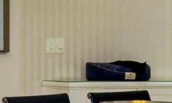 Imagem 5: Casa 4 dormitórios Cidade Jardim