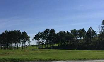 Imagem: Área na Rodovia Castelo Branco Km 90,5