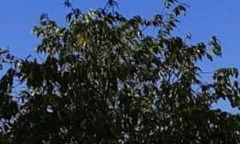 Imagem 2: Casa dos sonhos no Condomínio Alphaville Nova Esplanada 4 com 555M²