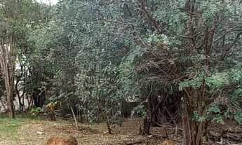 Imagem 4: Área de 7.000.00 m² no Campolim