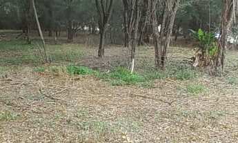 Imagem: Área de 7.000.00 m² no Campolim