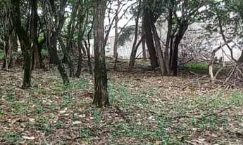 Imagem 6: Área de 7.000.00 m² no Campolim