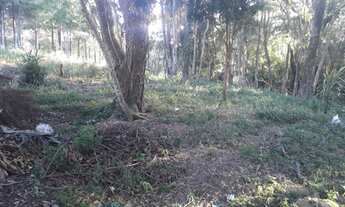 Imagem 6: Oportuinidade Única!! Terreno em Piedade