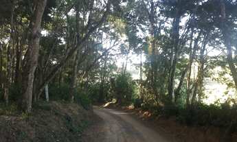 Imagem: Oportuinidade Única!! Terreno em Piedade