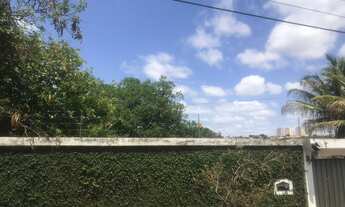 Imagem 4: Excelente Área no Bairro Jardim Simus dispondo de 9000m²