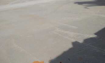 Imagem 3: Ampla Área no Jardim Simus com 2.084m²