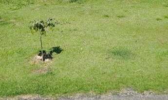 Imagem: Excelente terreno de 1.032,00 m² a venda