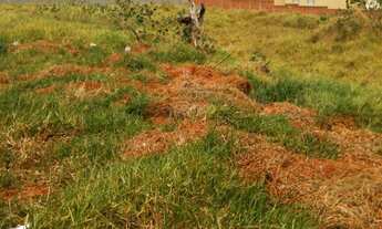 Imagem 5: Área à venda e para locação com 5,000M² na avenida Ipanema com ótima localização