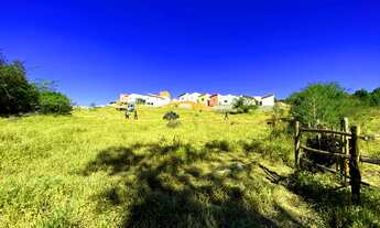 Imagem 4: Terreno com 6.450m² de área total e excelente topografia