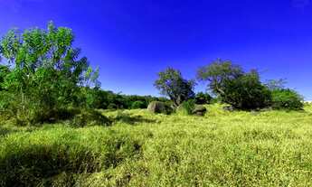 Imagem 5: Terreno com 6.450m² de área total e excelente topografia