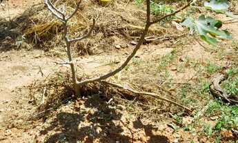 Imagem 4: Lindo terreno de 950m² no Iporanga