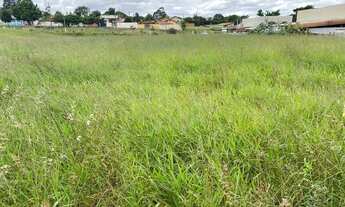 Imagem 6: Terreno à venda na rua principal de Sarapuí