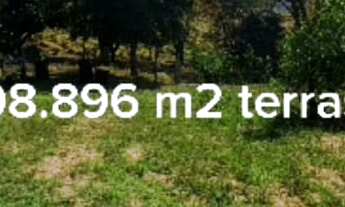 Imagem: Área com 98mil m² à venda na Aparecidinha