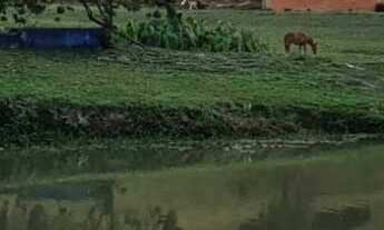 Imagem 2: Área em Aparecidinha com 400mil m²