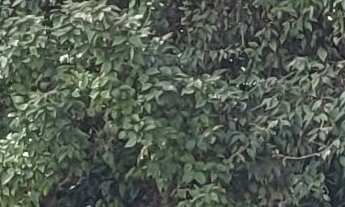 Imagem 7: Terreno à venda na Vila Progresso com 300m²