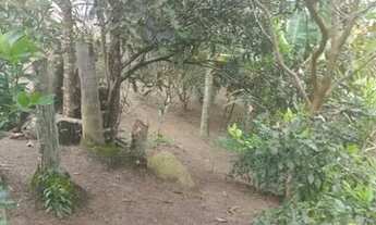 Imagem 2: Chacara ibiuna 4.500 MTS,com 5 dormitórios sendo 4 suítes