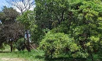 Imagem: Terreno 1.500m² no Bairro Jardim Pagliato