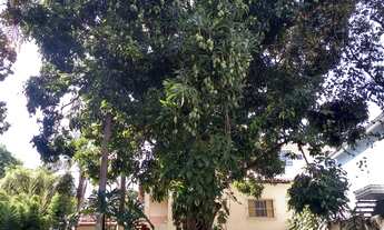 Imagem 3: Chácara com 4 dormitórios à venda, 2200 m² - Vila Helena - Sorocaba/SP