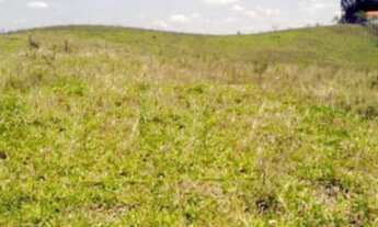 Imagem 5: Oportunidade única: Área de 34.626m² à venda em Sorocaba-SP, no bairro Brigadeiro Tobias!