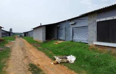 Imagem 3: Sítio à venda em Cesário Lange-SP, com 314.600,00 m² de área no bairro ideal para investid