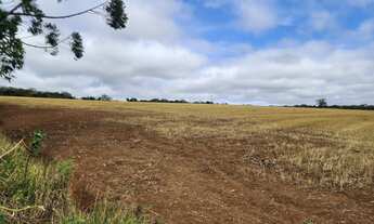 Imagem: Oportunidade Única Área Comercial de
