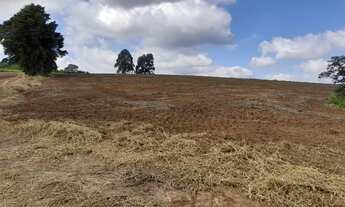 Imagem: Terreno comercial de 620.000m² no Centro